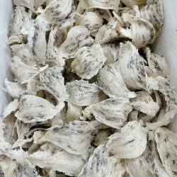 Yến thô nguyên lông